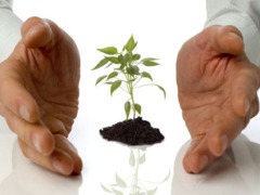 ������ ����������