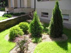 �������������� ������ ����